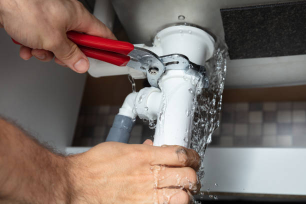 Best Local water damage restoration  in Blue Mound, IL