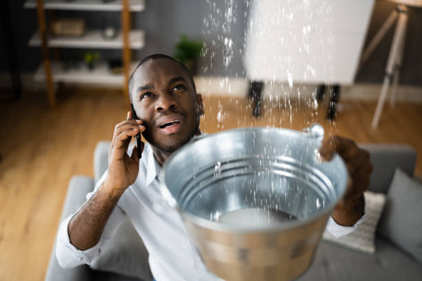 Best Commercial water damage restoration  in Blue Mound, IL