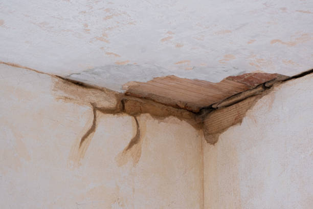 Best Water damage contractors near me  in Blue Mound, IL