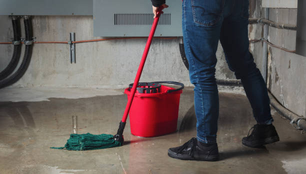 Best Water damage restoration near me  in Blue Mound, IL