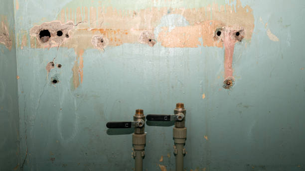 Best Flood restoration services  in Blue Mound, IL