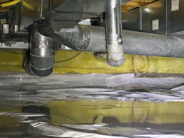 Best Flood damage cleanup  in Blue Mound, IL