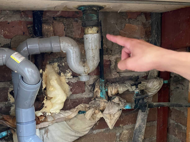 Best Water damage contractors near me  in Blue Mound, IL