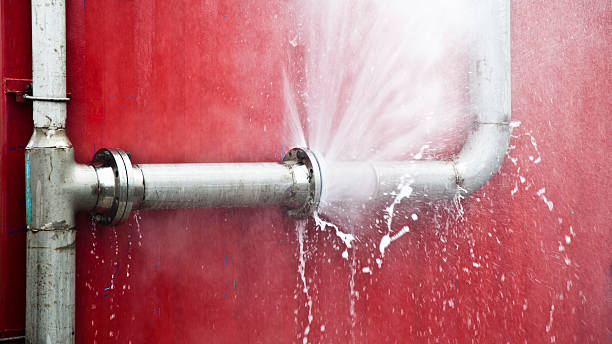Best Professional water damage repair  in Blue Mound, IL